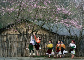 Elementor Archive #11403