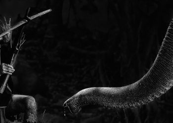 Thông báo về cuộc thi ảnh quốc tế lần thứ 1